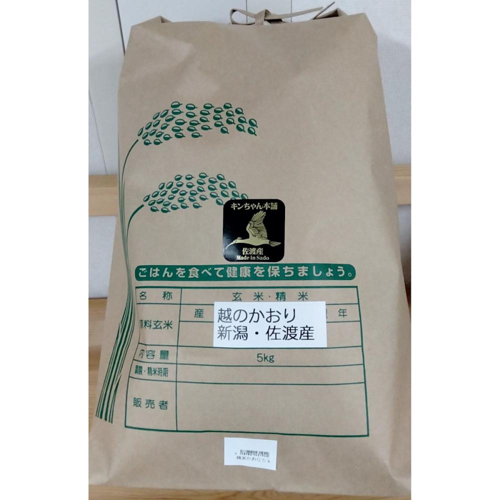 令和5年度　新潟県佐渡産　特別栽培米　越のかおり　精米５ｋｇ