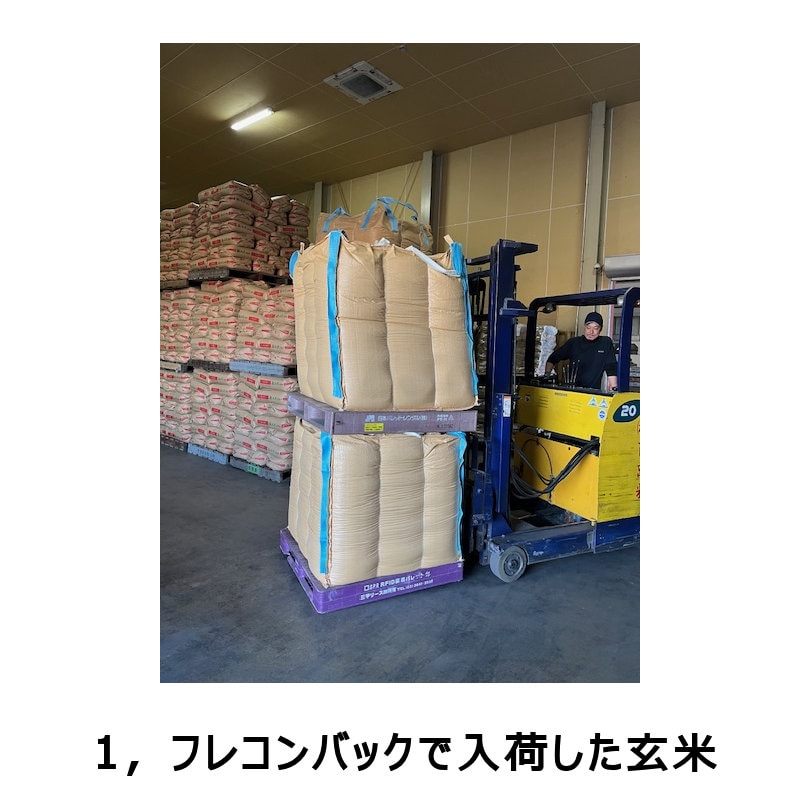 【新潟県産】令和５年産　コシヒカリ玄米　３０ｋｇ　ＪＡＳ表示米