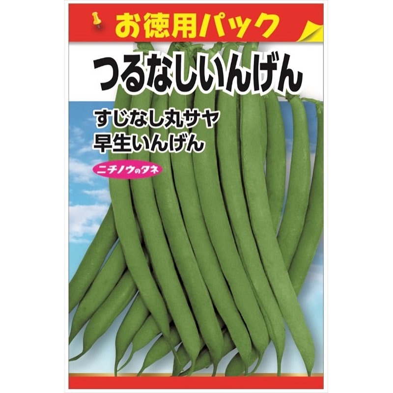 ニチノウのタネ つるなしいんげん お徳用パック
