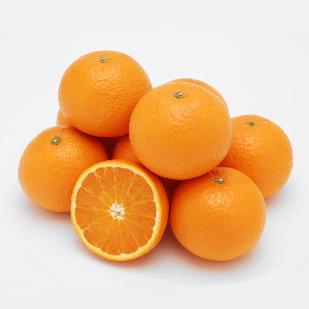 愛媛県産　ＮＡＤＡさんの清見オレンジ　家庭用　約４．５ｋｇ【注文期限：２０２６年４月１５日】