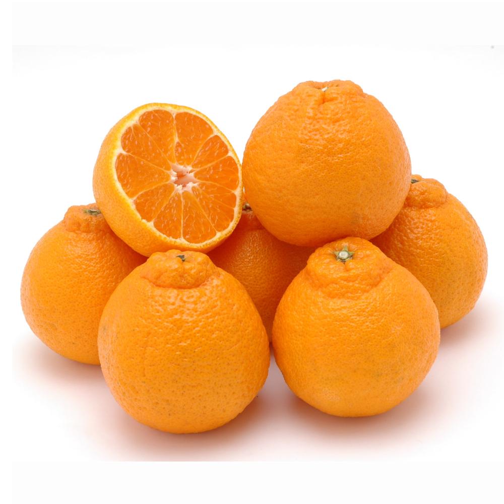 愛媛県産　ＮＡＤＡさんの不知火　家庭用　約４．５ｋｇ【注文期限：２０２６年３月１５日】