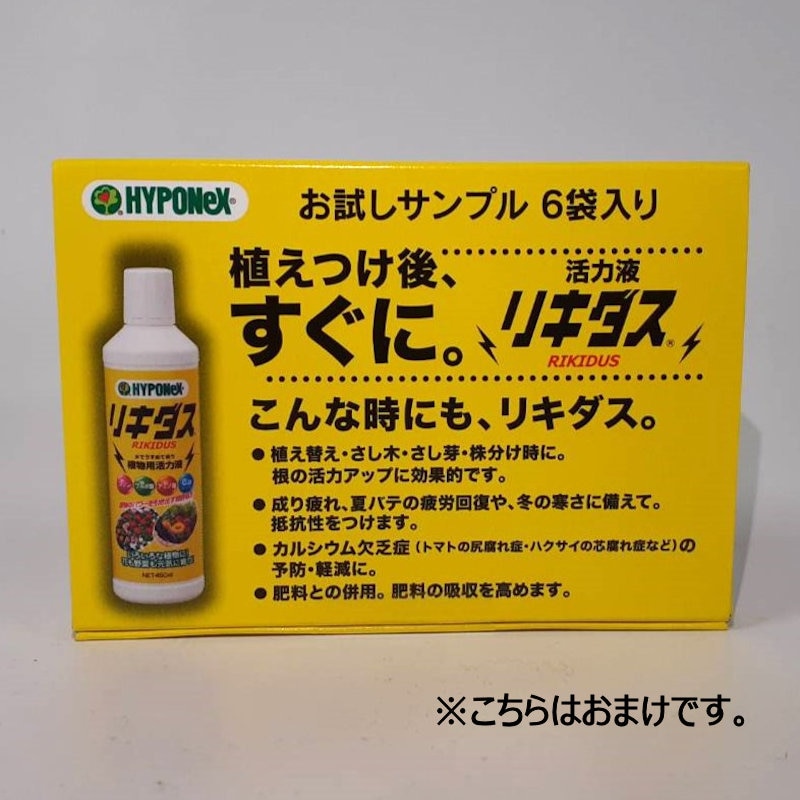 レイシオ原液　８００ｍL　２本入り　オマケ付き