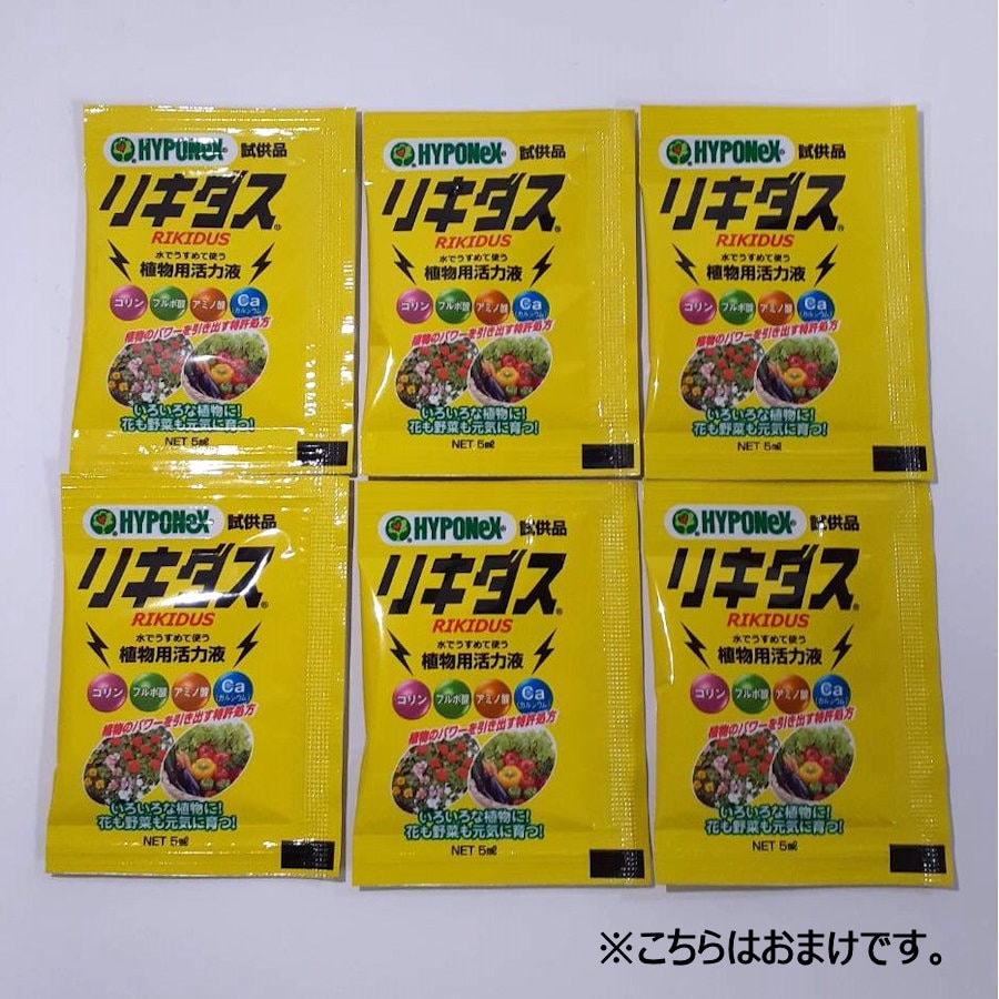 レイシオ原液　８００ｍL　２本入り　オマケ付き