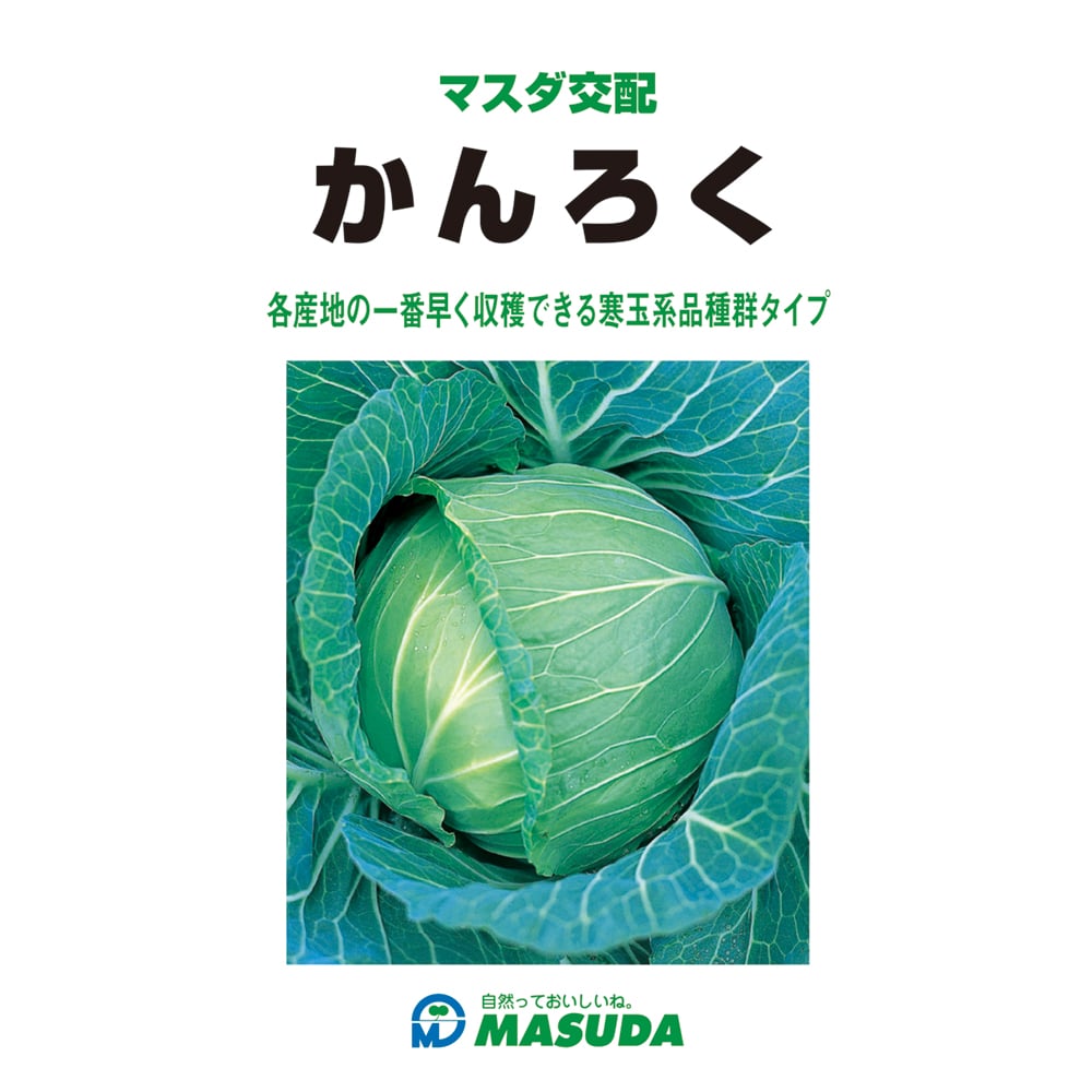 キャベツ種子　かんろくキャベツ　３０００粒