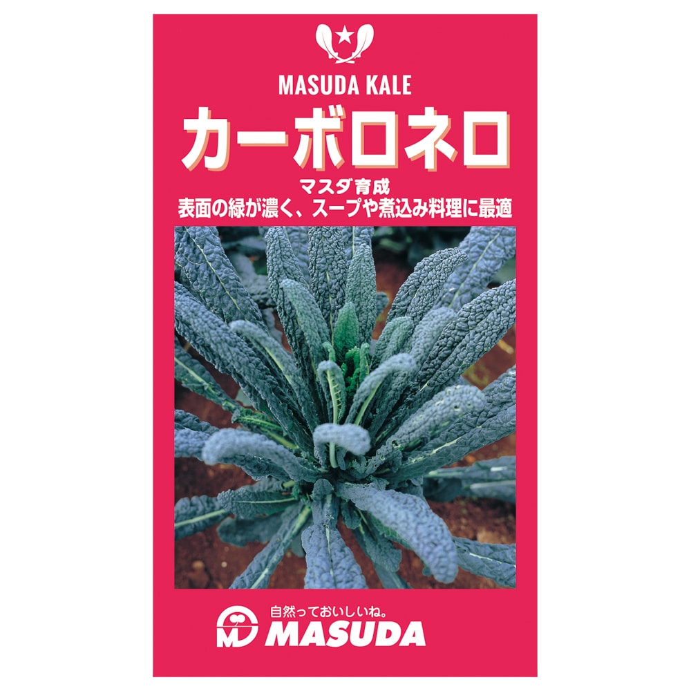 ケール種子　カーボロネロ（黒キャベツ）２０００粒