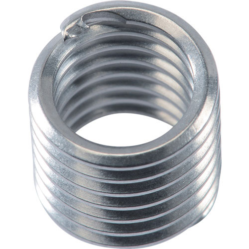 フェルケル　インサートねじ（タングレス）　Ｍ６×１．０ｍｍ　２Ｄ　（１００個入り）＿