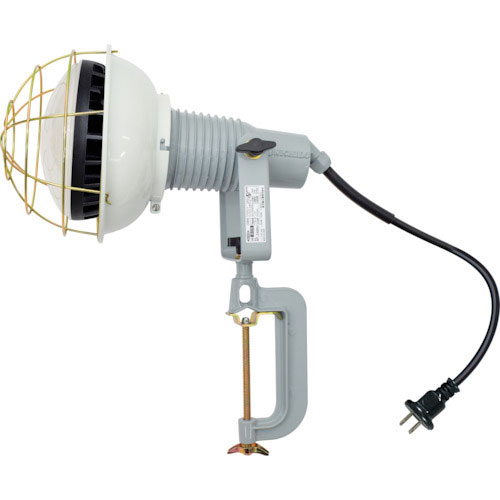 日動 エコビックLED投光器50W 昼白色 2P 0.3m_