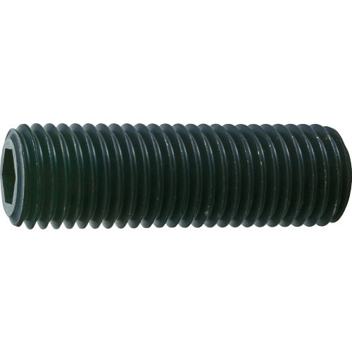 ＴＲＵＳＣＯ　六角穴付止めねじ　平先　黒染め　Ｍ２０×５５　１本入＿
