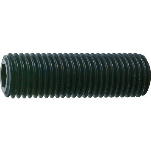 ＴＲＵＳＣＯ　六角穴付止めねじ　平先　黒染め　Ｍ２０×７５　１本入＿
