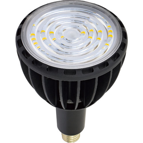 日動 LED交換球 エコビック100W E39 昼白色 スポット_
