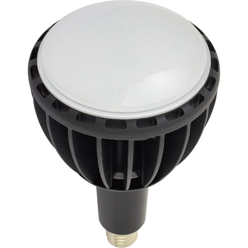日動 LED交換球 エコビック100W E39 昼白色 ワイド_