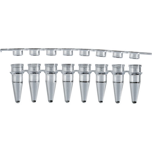ＴＲＵＳＣＯ　ＰＣＲチューブ　０．２ｍｌ　８連　フラット＿
