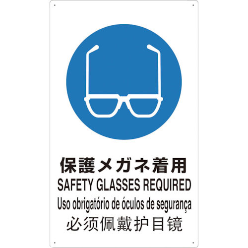 ＴＲＵＳＣＯ　４ヶ国語　ＪＩＳ安全標識　保護メガネ着用＿