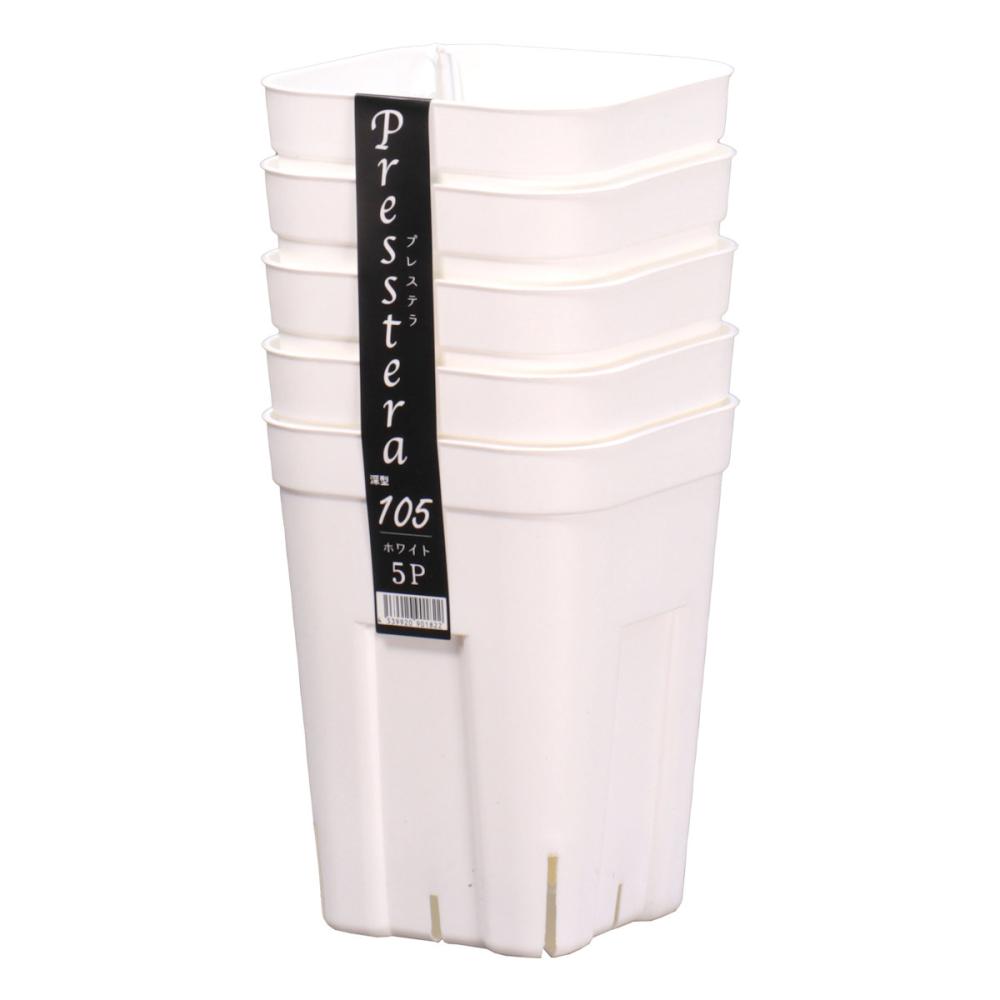 アップルウェアー　プレステラ深型１０５　ホワイト　５個組