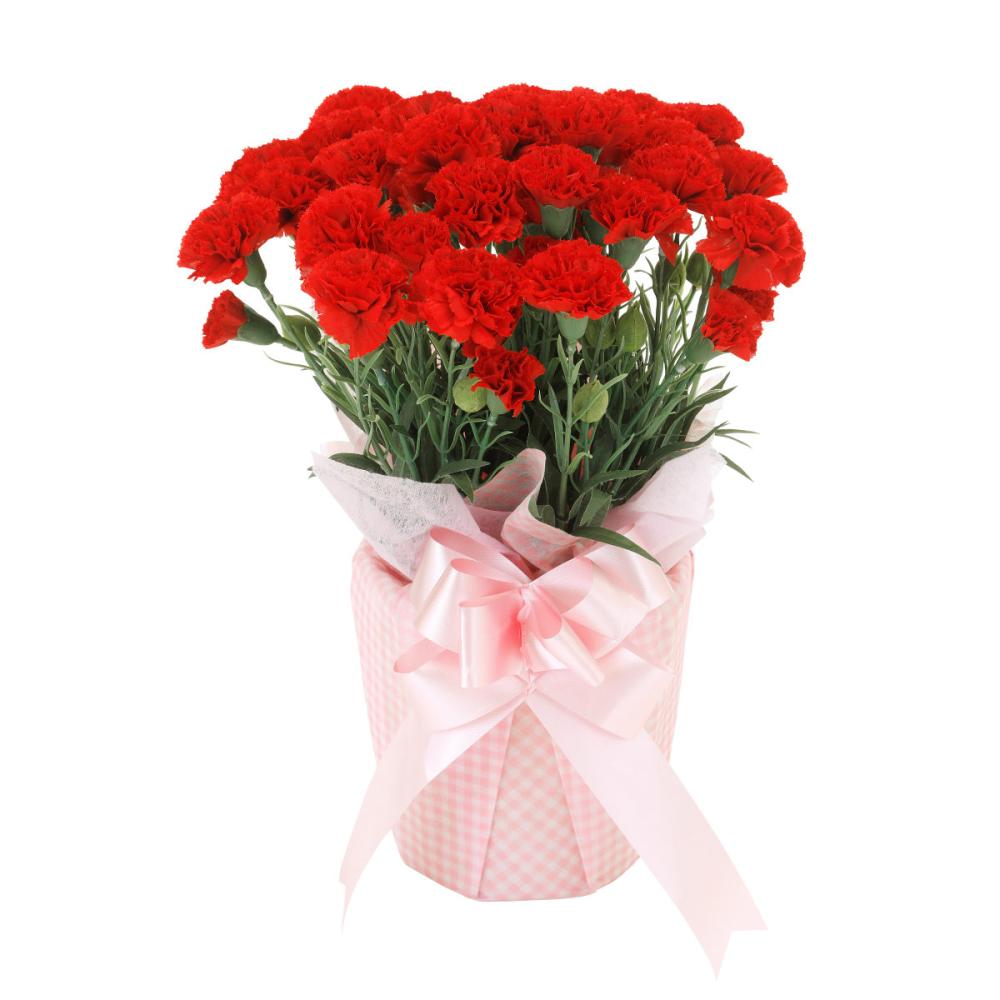 【母の日ギフト】造花カーネーションラッピング鉢赤色【お申込期限：５月６日】