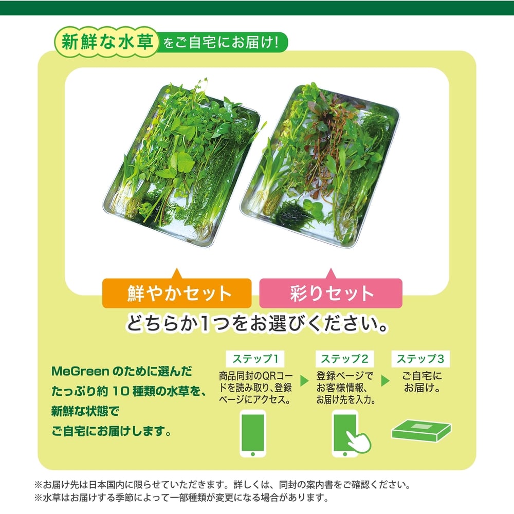 ジェックス　ＧＥＸ　ＭｅＧｒｅｅｎ　グラステリア　２００セット