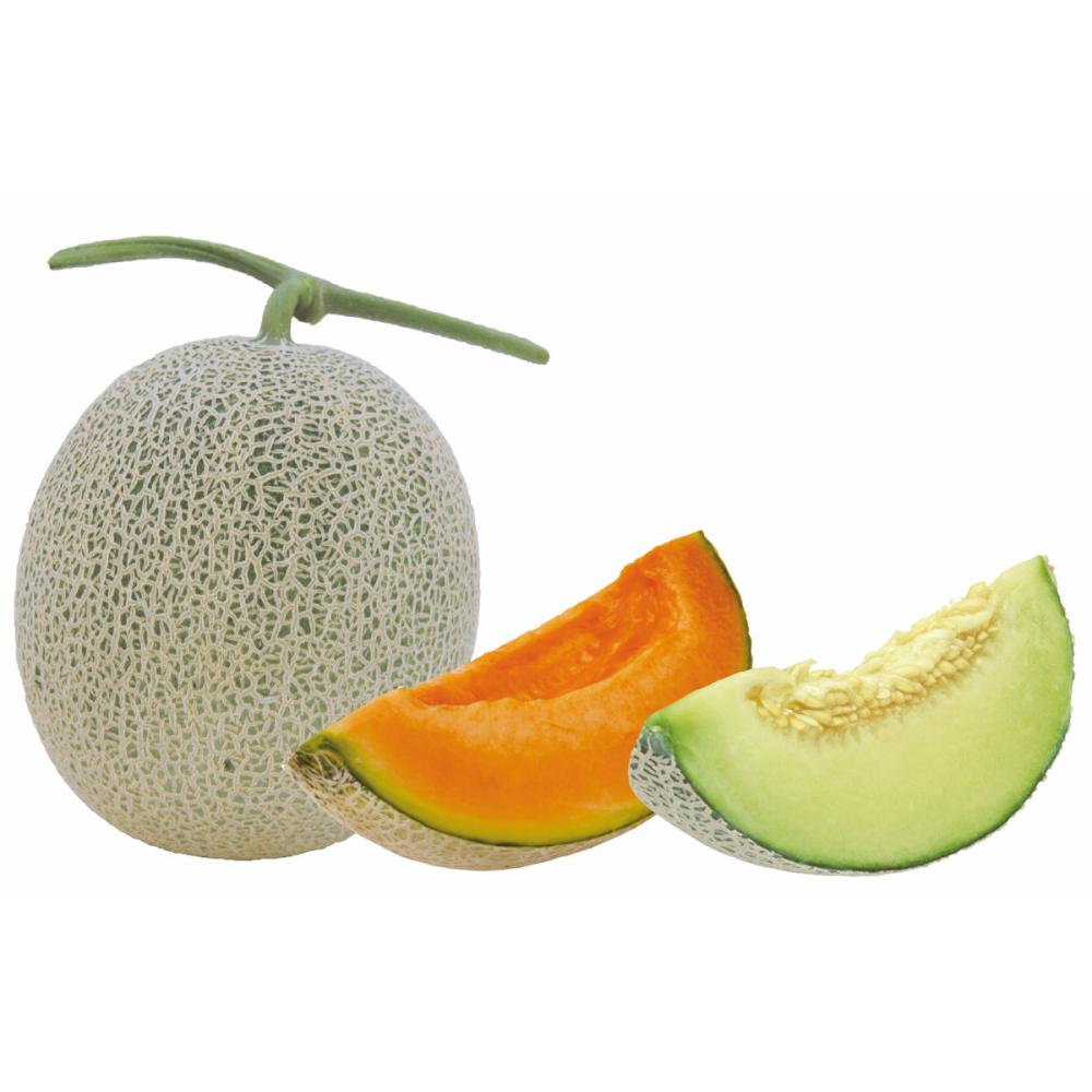 新潟県認証特別栽培　太田農園メロン“GIFT”各３玉（赤肉１玉・青肉２玉）　つる有り【注文期限：7月15日】