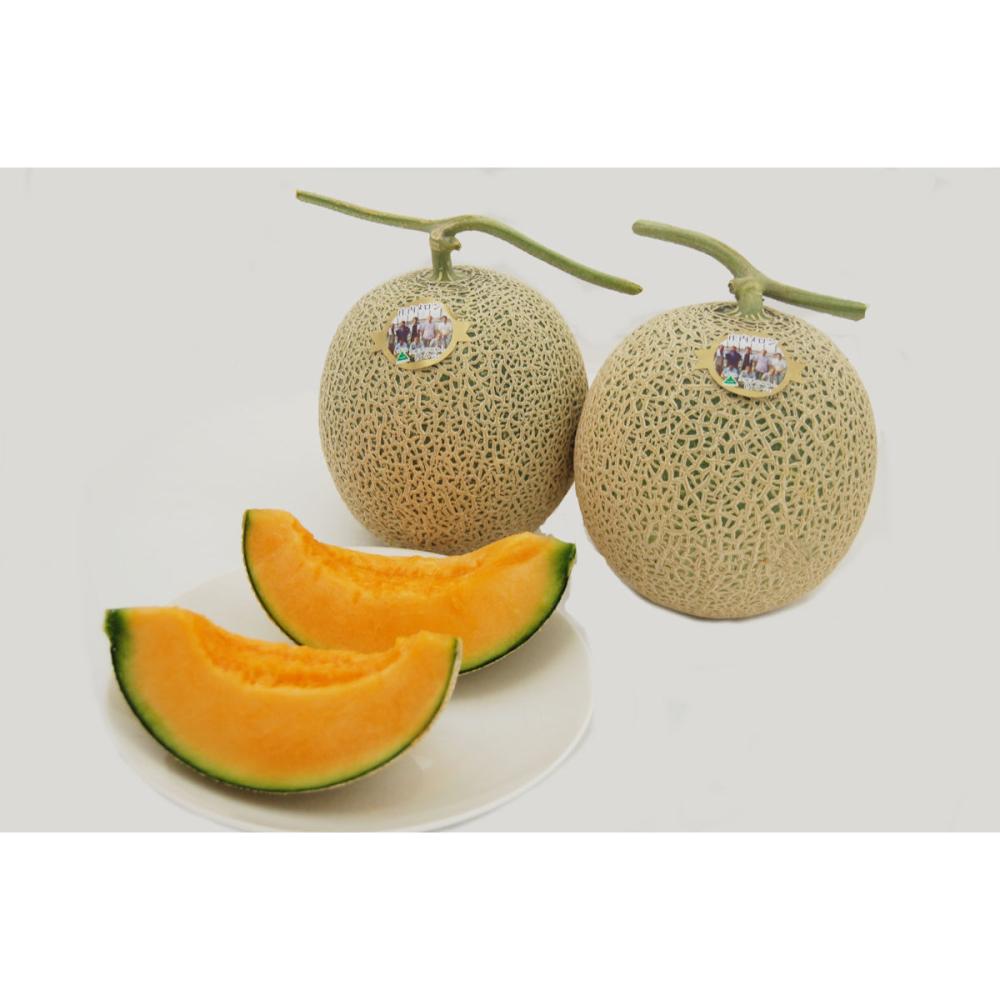 新潟県認証特別栽培　太田農園メロン“GIFT”４玉（赤肉４玉）　つる有り【注文期限：7月15日】