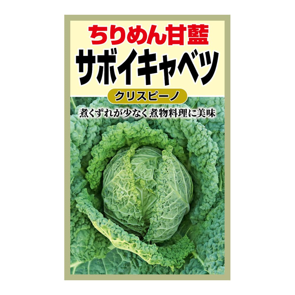 ちりめん サボイキャベツ
