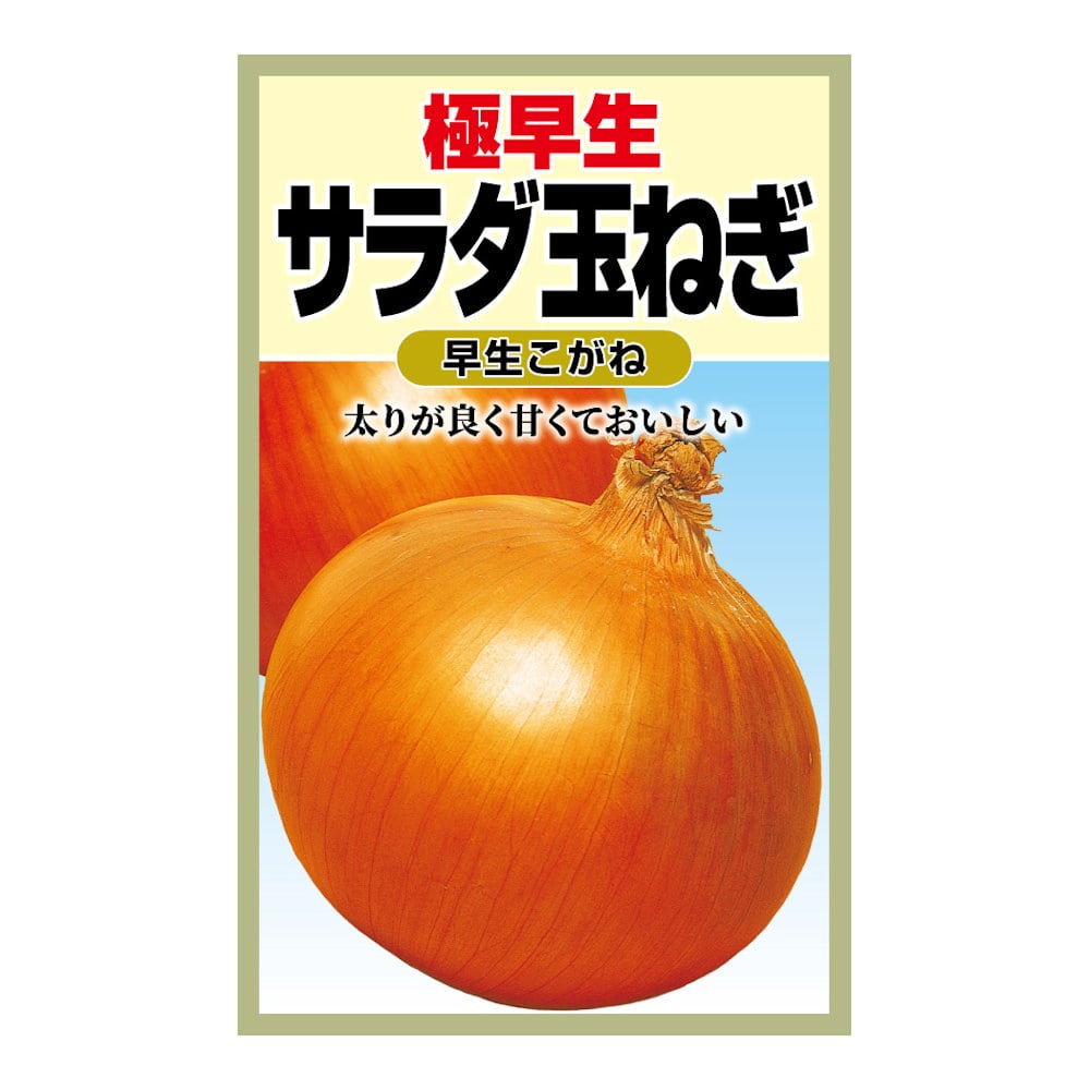 極早生　サラダ玉ねぎ