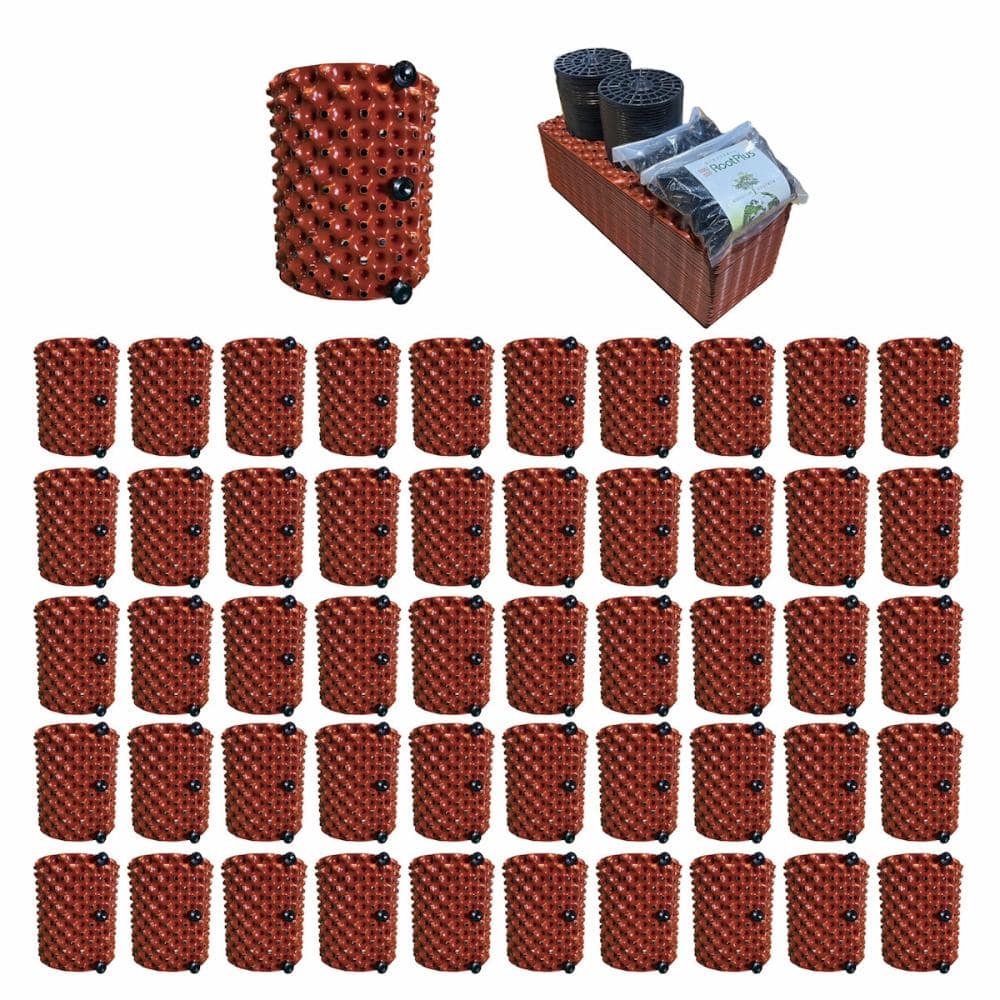 ルートプラスポット（ケース）　ブラウン　３Ｌ　５０個入り