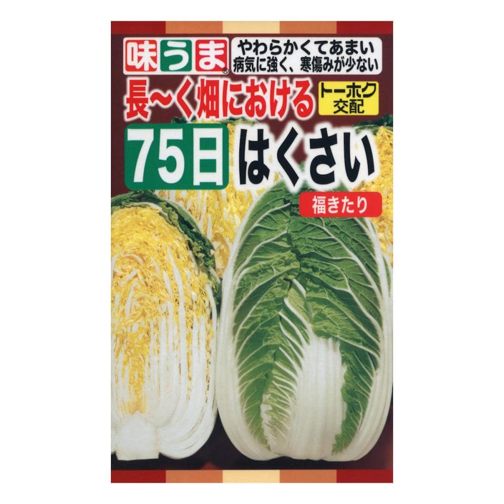 F1 75日はくさい 福きたり