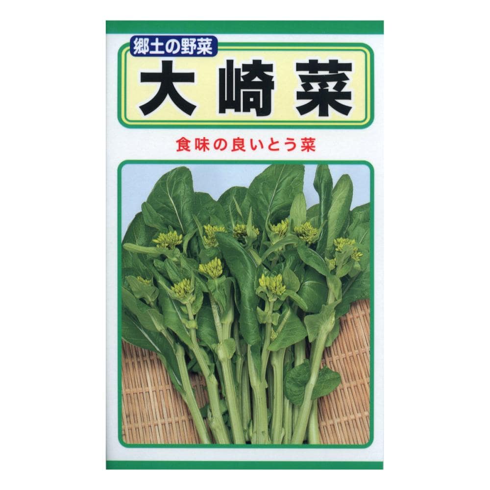 大崎菜