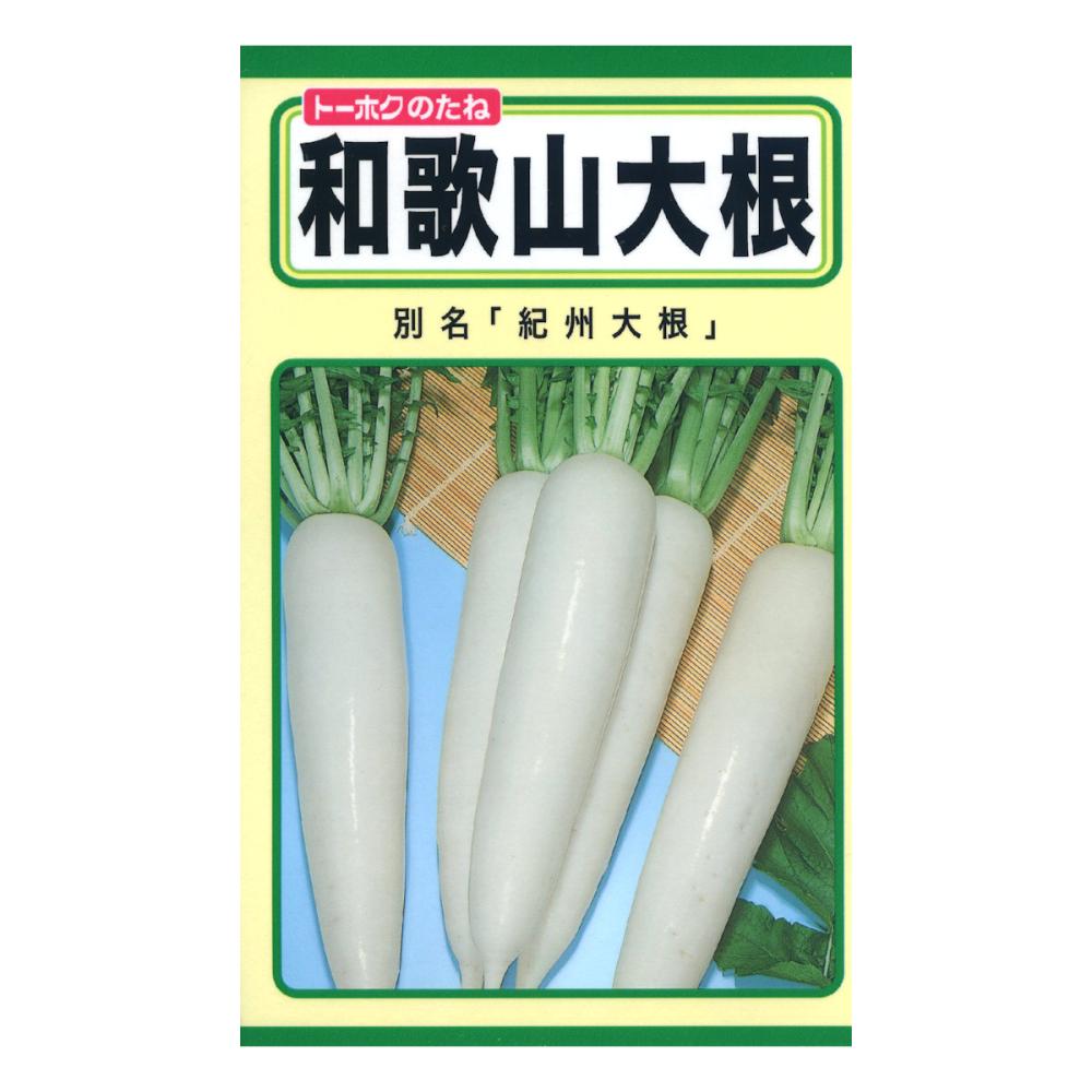 和歌山大根