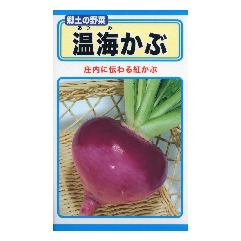 温海かぶ