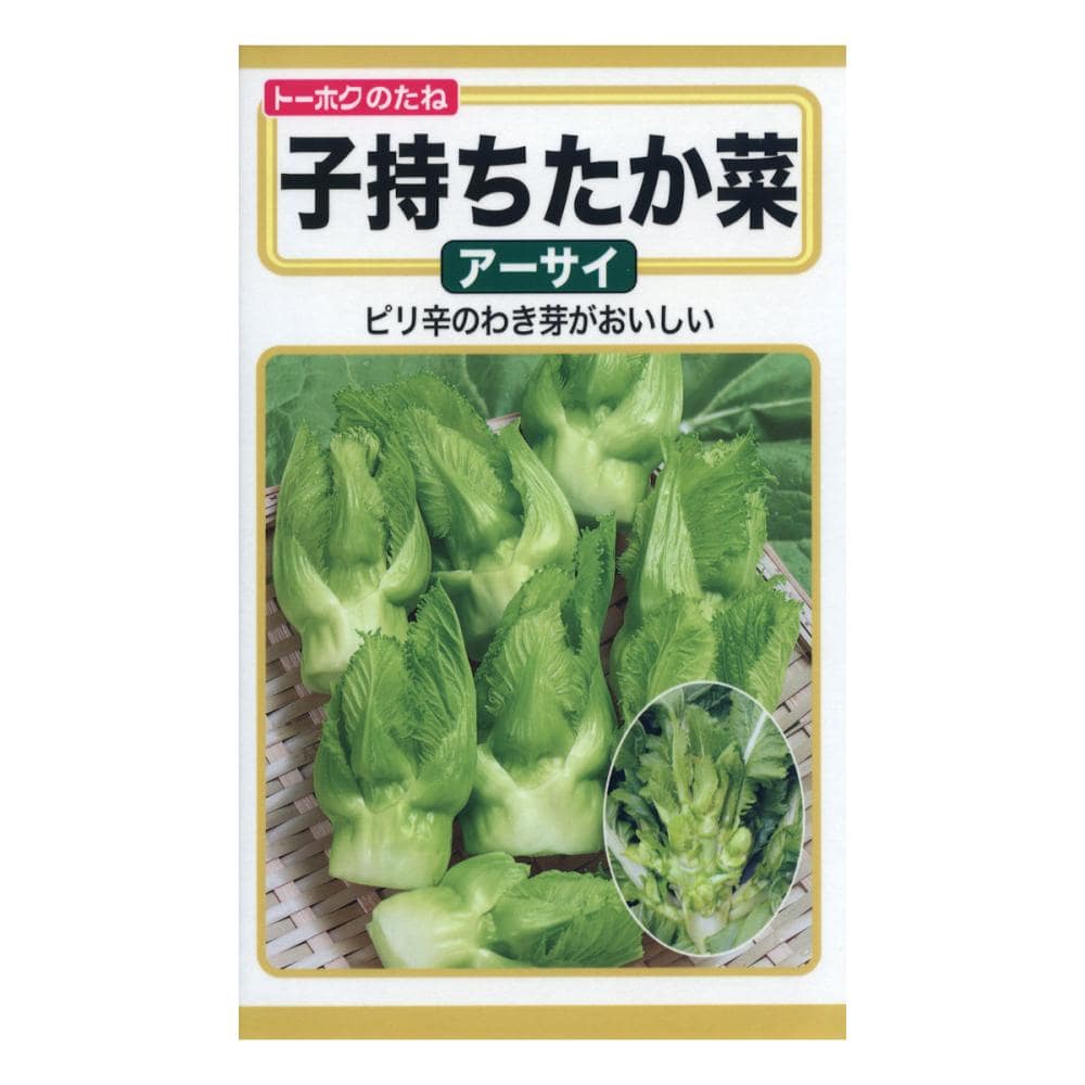 子持ちたか菜　アーサイ