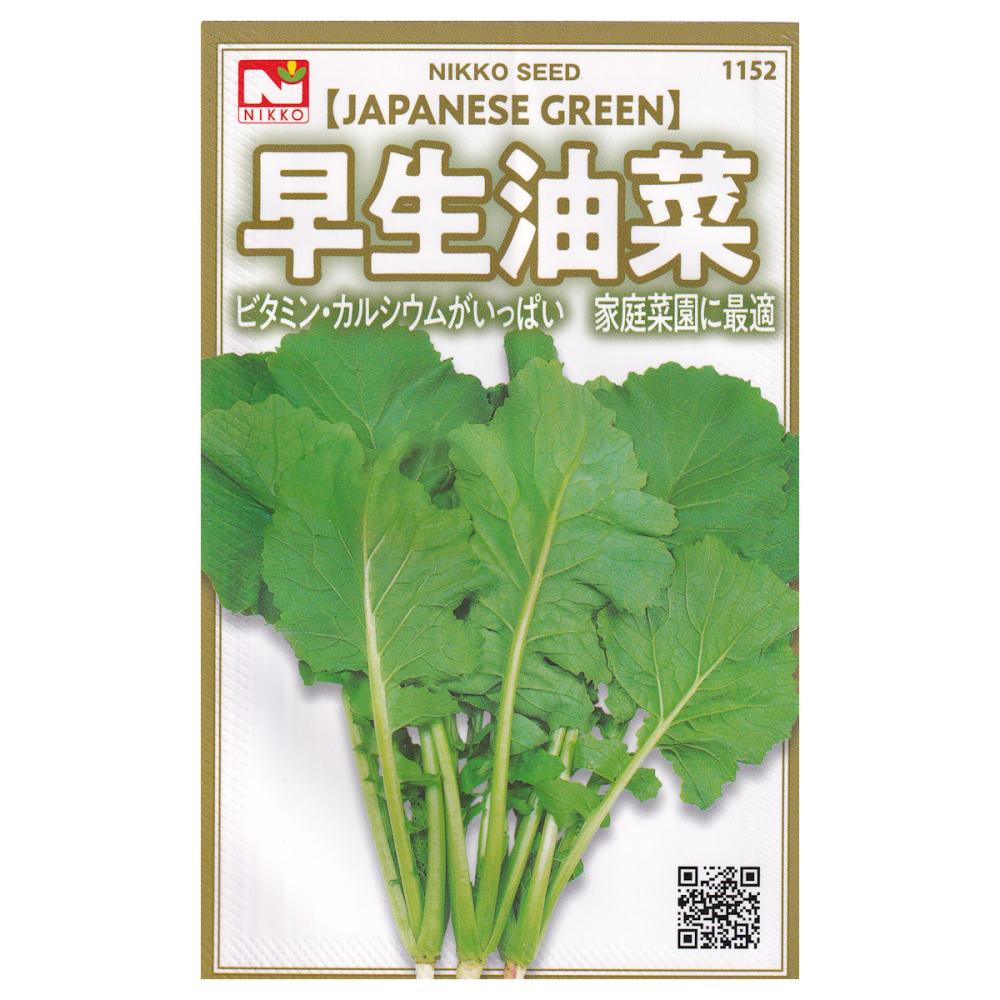 【宅配専用】　葉菜種子　早生油菜