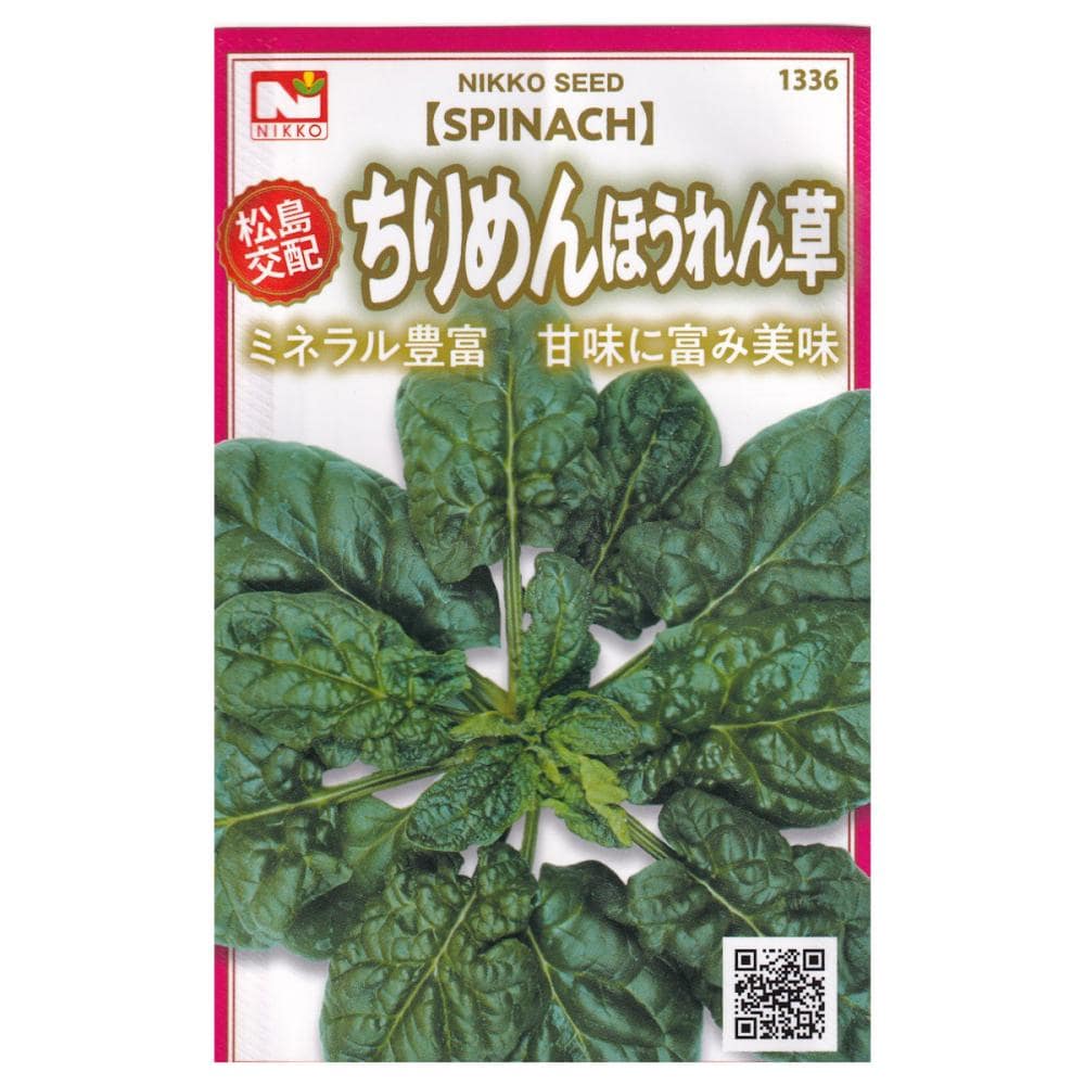 【宅配専用】　ホウレンソウ種子　ちりめんほうれん草