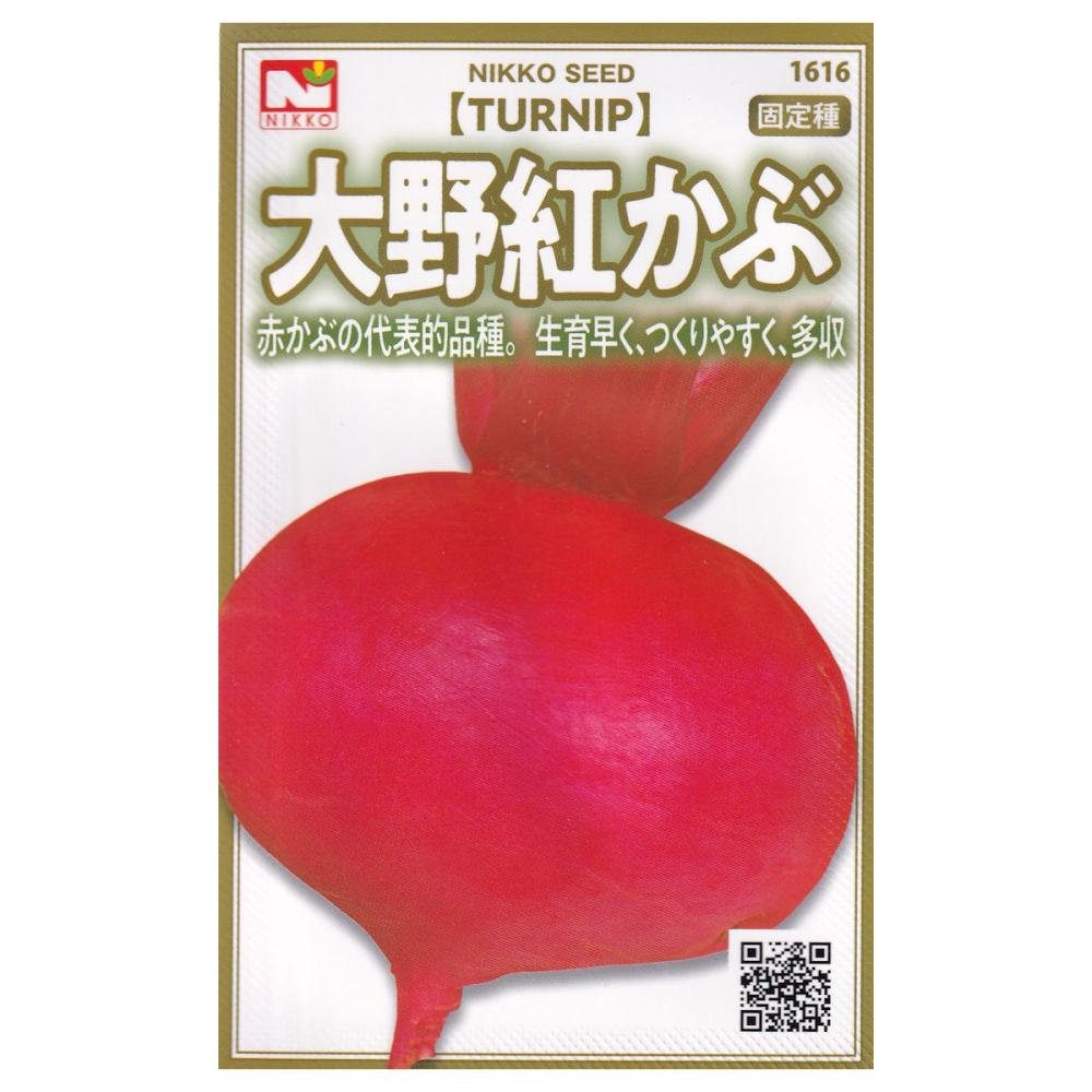 【宅配専用】　ダイコン種子　大野紅かぶ