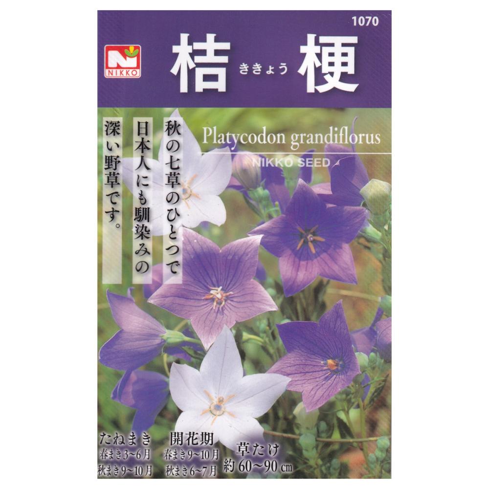 【宅配専用】　草花種子　ききょう