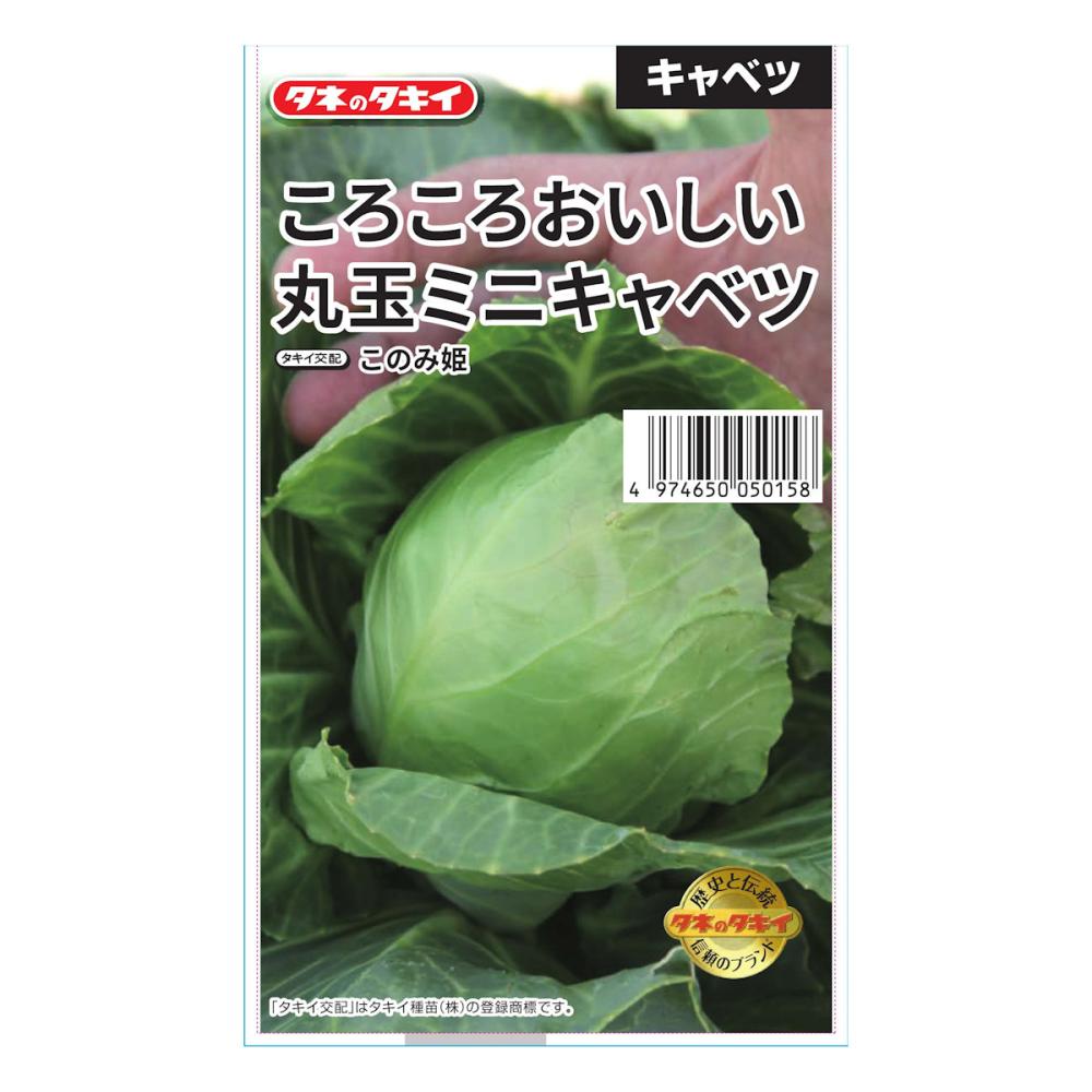 ころころおいしい丸玉ミニキャベツ このみ姫