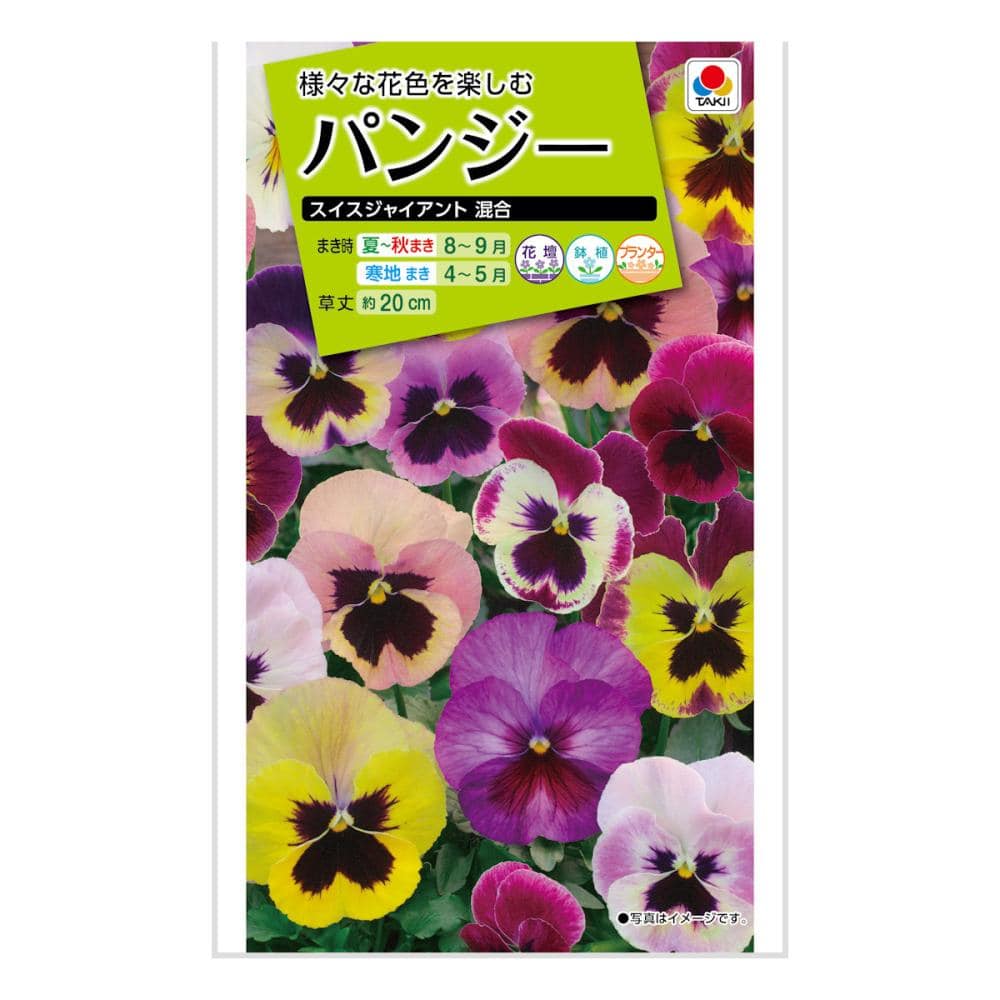 パンジースイスジャイアント混合