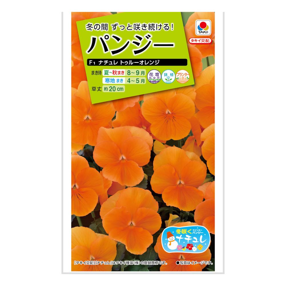パンジーナチュレトゥルーオレンジ
