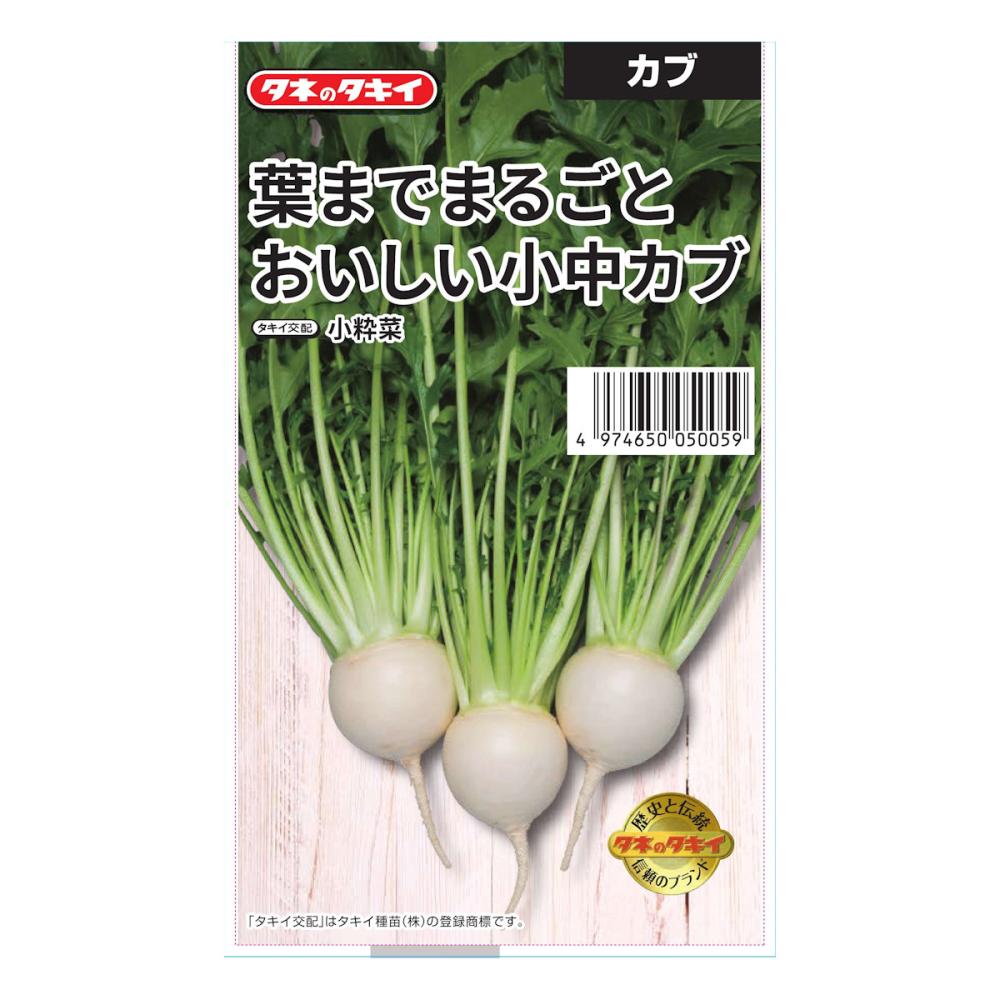 葉までまるごとおいしい小中カブ 小粋菜