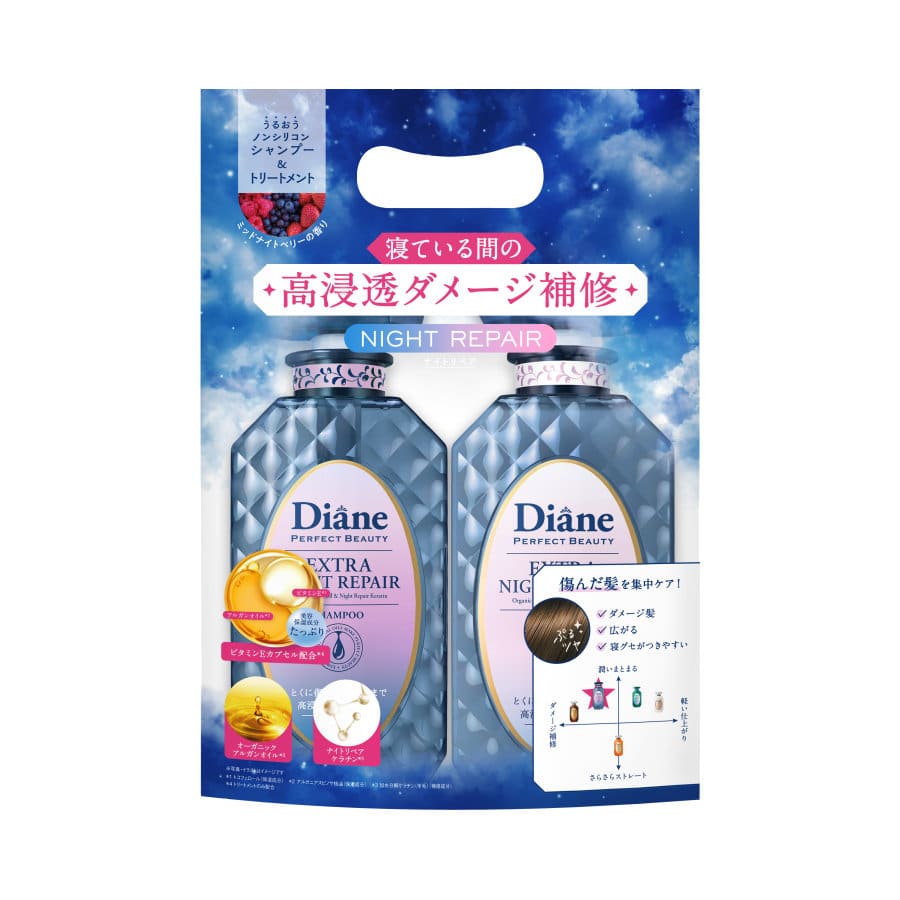 ネイチャーラボ ダイアン パーフェクトビューティー ナイトリペアシャンプー&トリートメント 450mL×2個