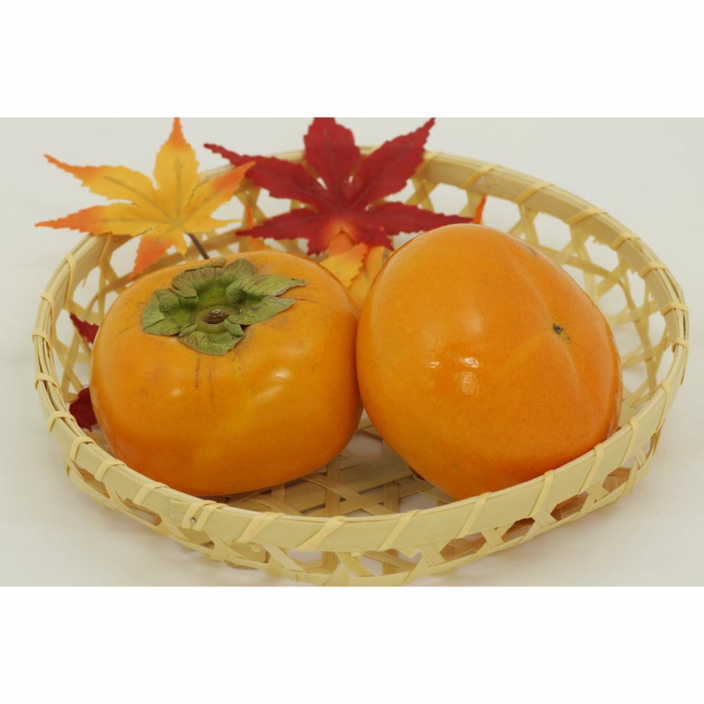 岐阜県産　富有柿　贈答用　３Ｌ　１０玉入り　約３ｋｇ【注文期限：2025年11月20日】