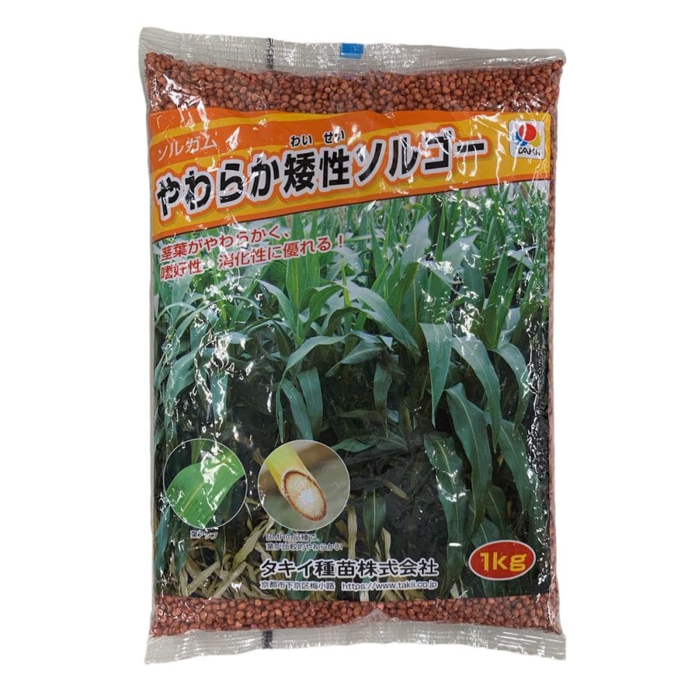 【早期予約・緑肥】 ソルガム やわらか矮性ソルゴー 1kg