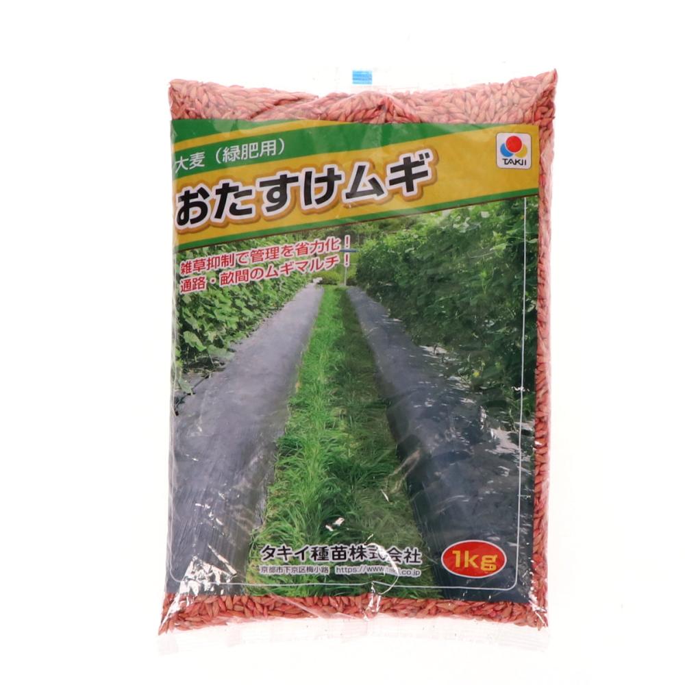 【早期予約・緑肥】 大麦 おたすけムギ 1kg