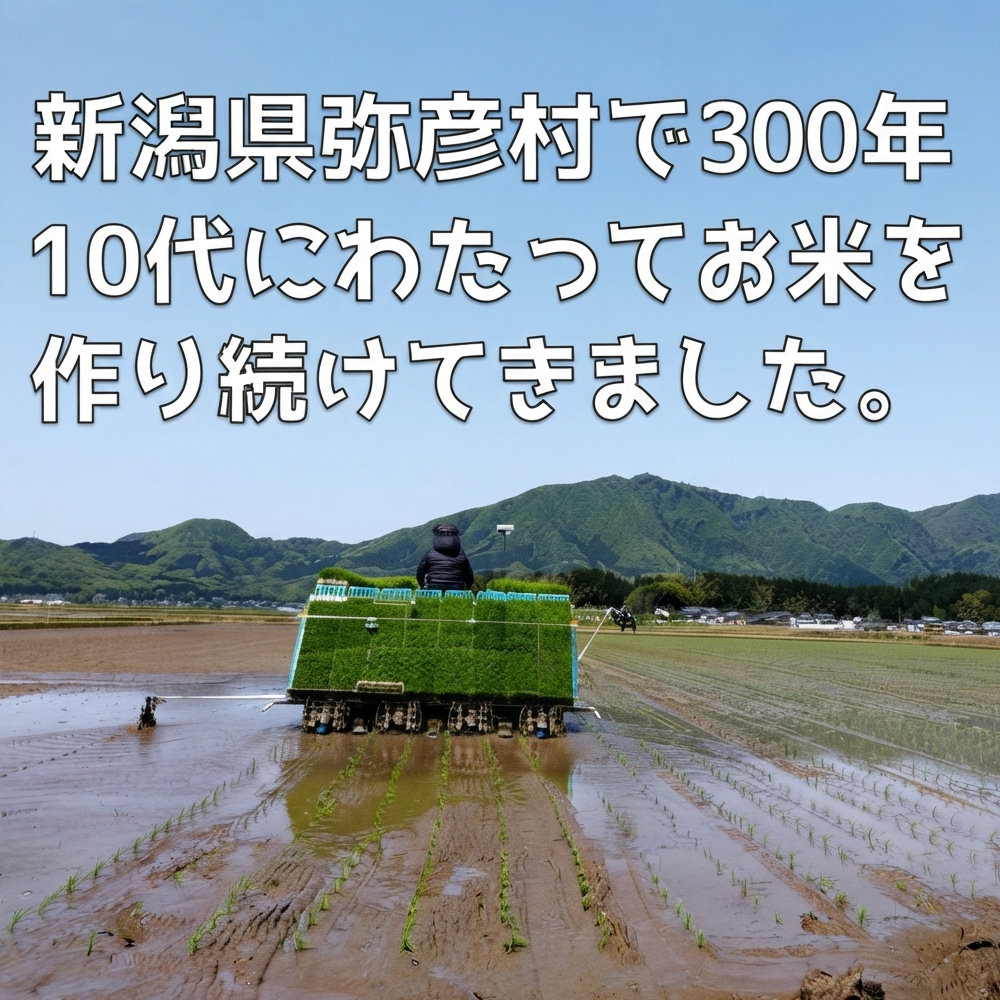 令和8年度 新潟県弥彦村産 石井農園のこだわりコシヒカリ 玄米
