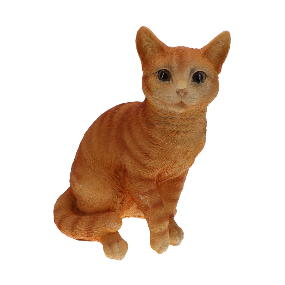 キャット