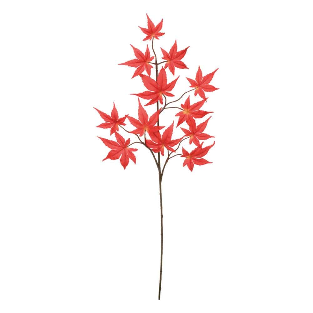 造花　モミ