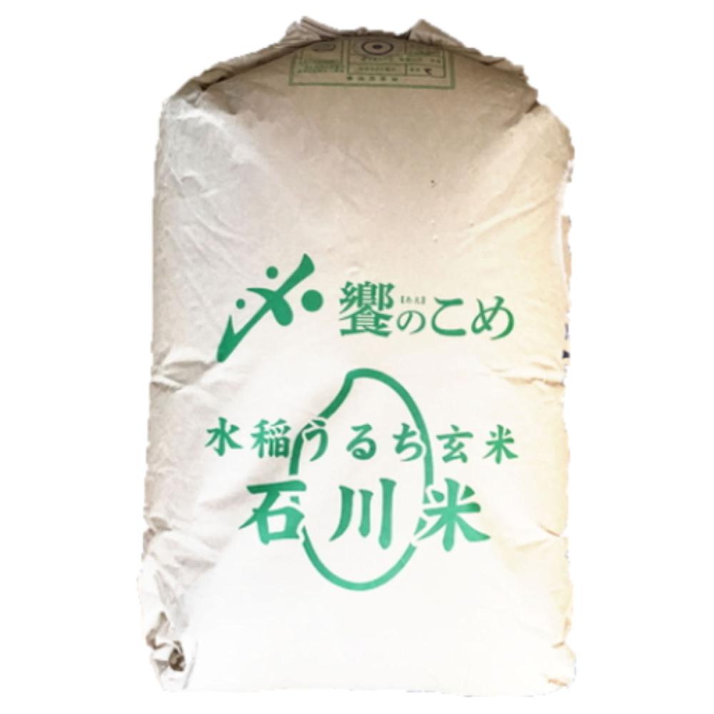 令和7年度 石川県能登産こしひかり 玄米30kg