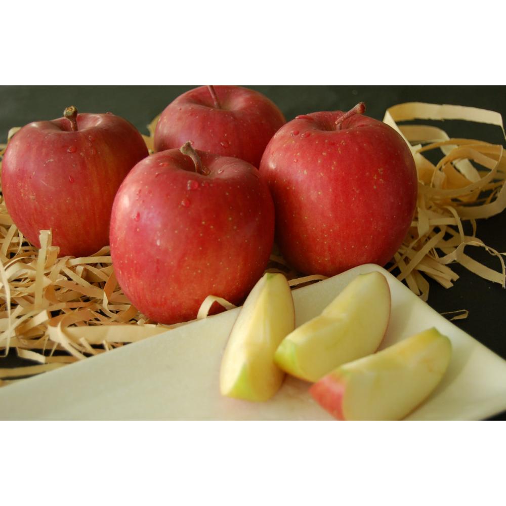 岩手県花巻市産　サンふじりんご　家庭用　約９．０ｋｇ（３０玉前後）【新春福袋】