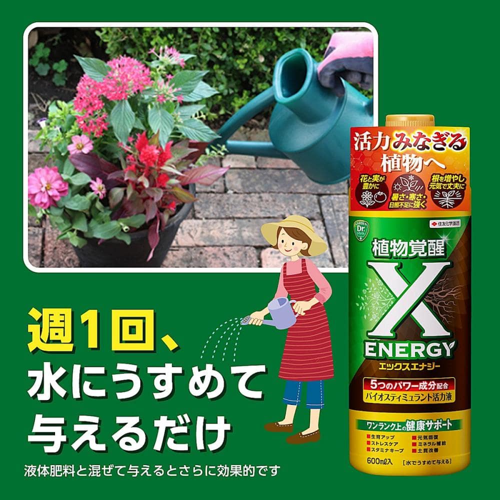 住友化学園芸 活力剤 エックスエナジー 600mL の通販