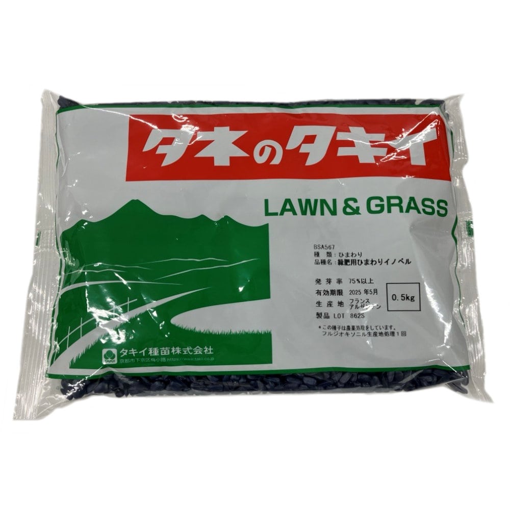 【緑肥種子】緑肥用ヒマワリ　イノベル　０．５ｋｇ　５袋単位　店着送料不要