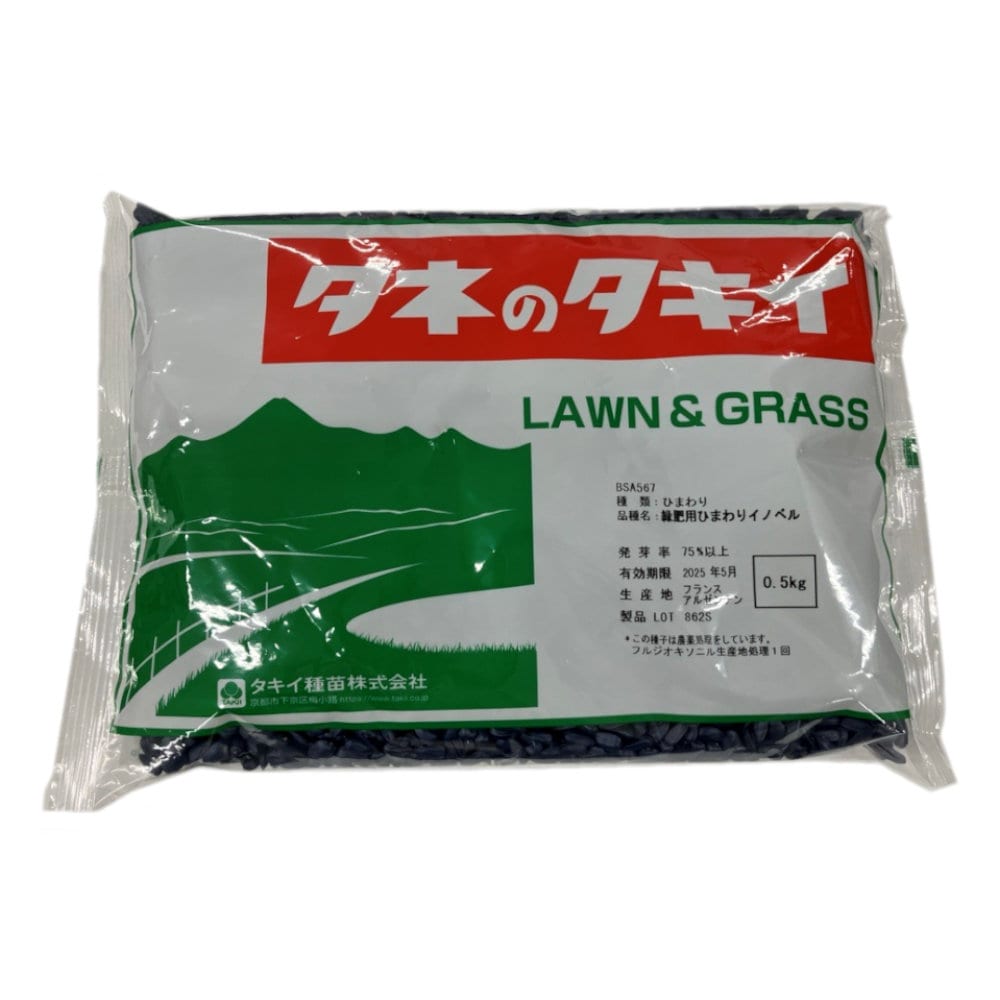 【早期予約・緑肥】　緑肥用ひまわり　イノベル　０．５ｋｇ